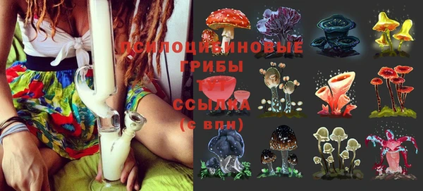 спайс Майский